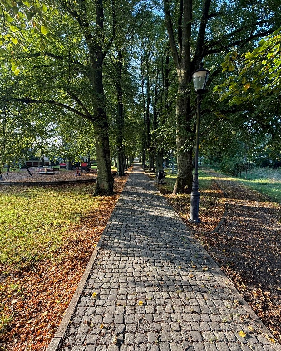 Aleja pod lipami przy Karczmie pod Lipami